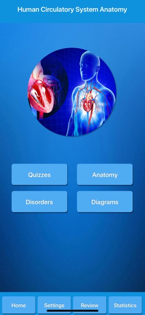 Circulatory System Anatomy