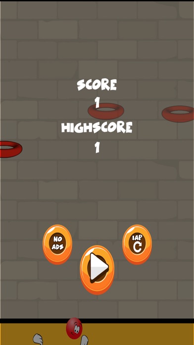 Fly And Dunk screenshot1