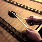 Top 20 Music Apps Like Trapezoid - Pocket Dulcimer - Best Alternatives