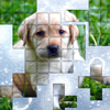 PicPu Dog Puzzle