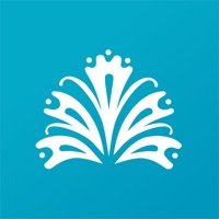 Experience Baha Mar app funktioniert nicht? Probleme und Störung