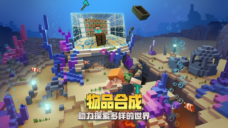 我的世界 screenshot-4