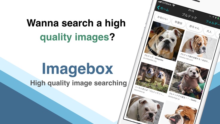 Search Image box