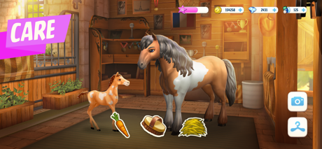 Cheats for Horse Haven World Adventures