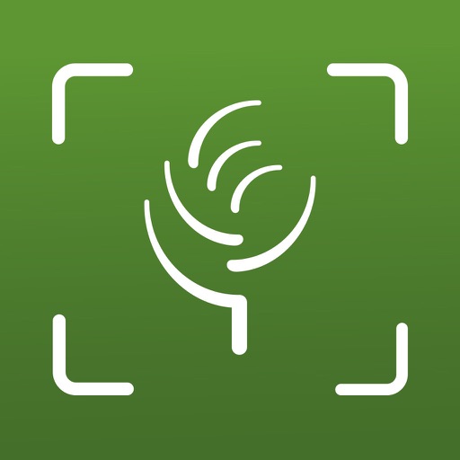 Lauzon Flooring Reader