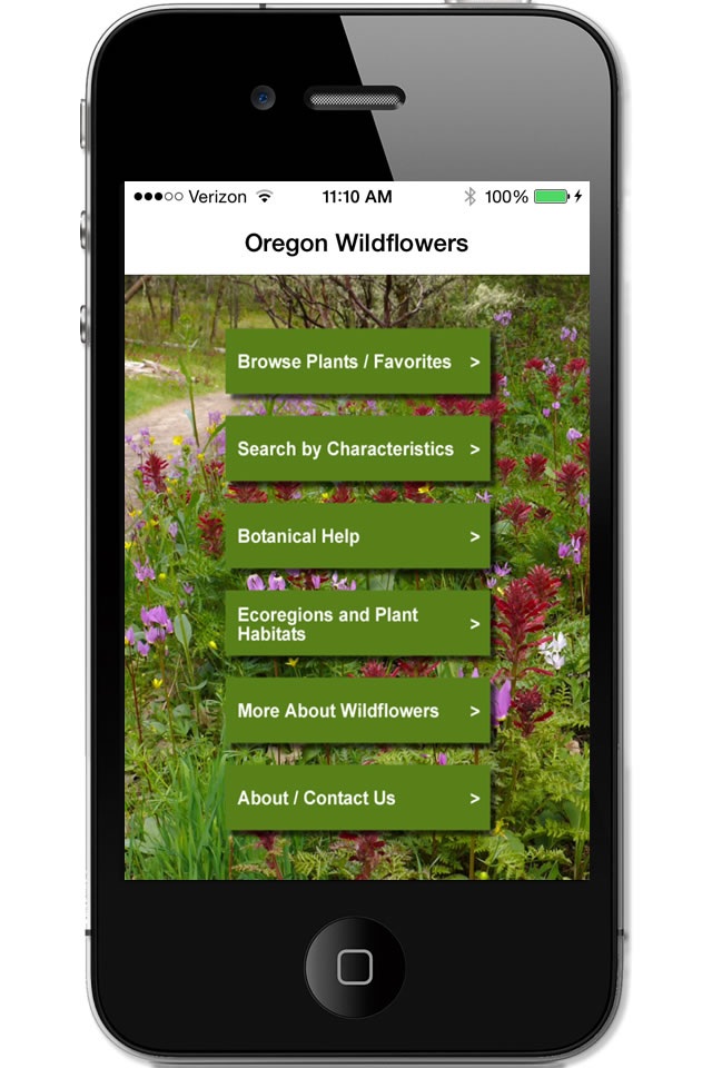 Oregon Wildflowers screenshot 2