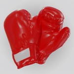 Boxing Girl
