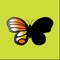 Look at the butterfly for a short time, then remember its shape and choose it from a list