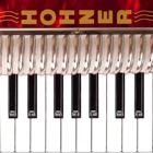 Hohner MIDI Piano Accordion