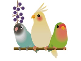 Adorable Birds Emoij Sticker