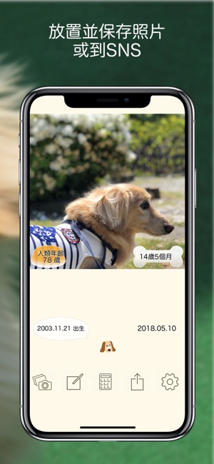 寵物幾歲了?(圖4)-速報App