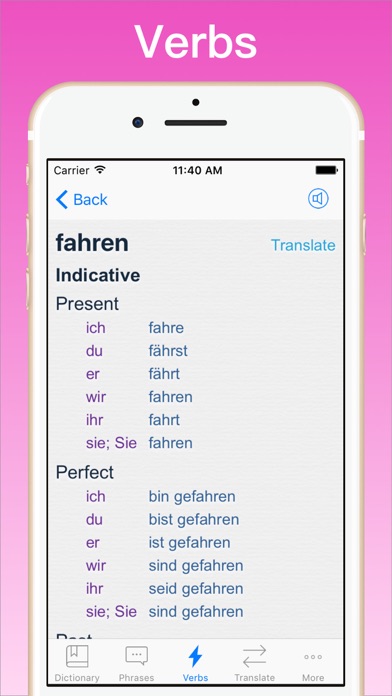 German English Dictionary + Screenshot 4