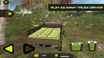 Army Cargo Truck Mission 3D screenshot 3