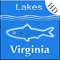 Fishing Lakes and Species application for Virginia Lakes