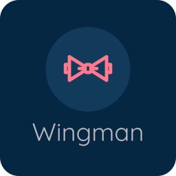 Pocket Wingman