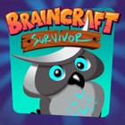 Braincraft