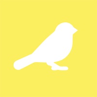 Canary app not working? crashes or has problems?