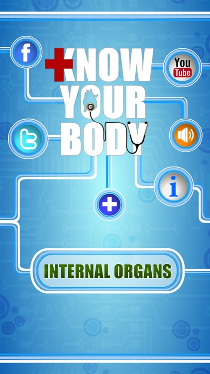 Human Body - Internal Organs