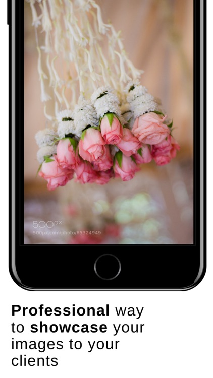 Digital Photo Frame + Pro