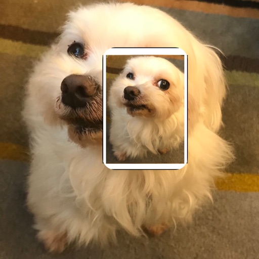 Recognize Me Mobile Download