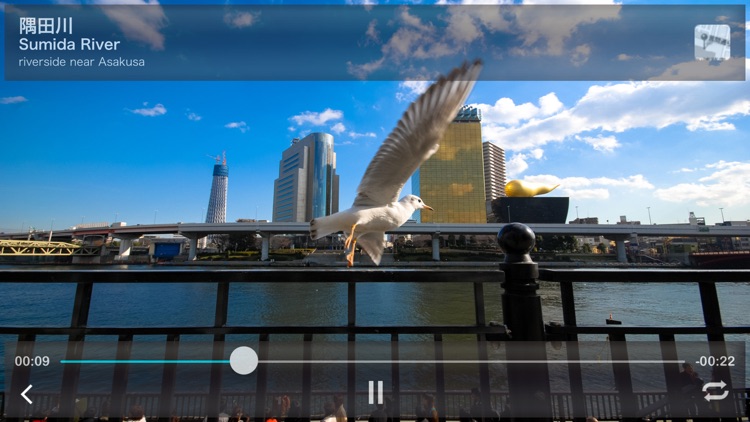 Tokyo Vivid Noise screenshot-3