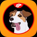 Dog Training Clicker  Noises