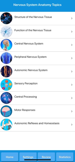 Human Nervous System Anatomy(圖2)-速報App