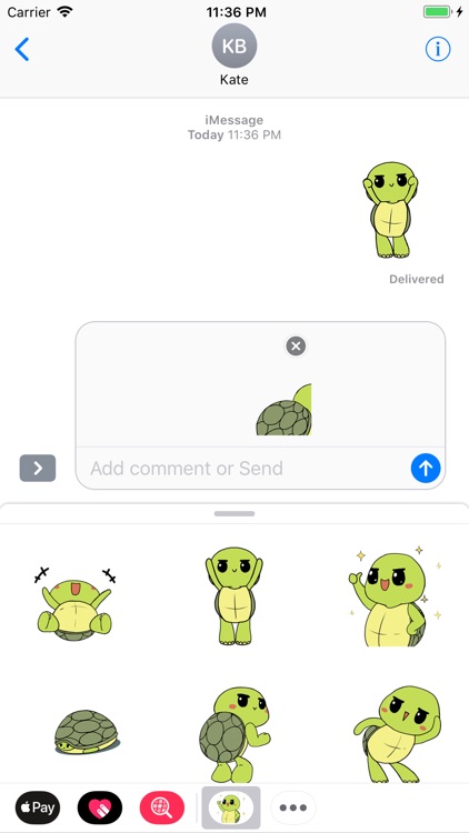 Green Turtle Boy Animated