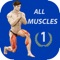Lose weight home Workout is an advanced app that provides you with daily, weekly and monthly training routines for all your major muscle groups