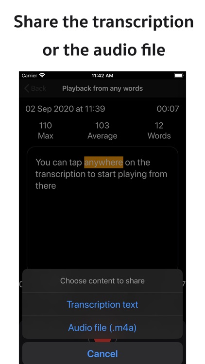Live Transcribe: Transcrybr screenshot-6