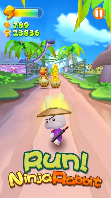 Run Ninja Rabbit Run