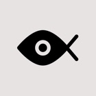 FishFilm - Fisheye Camera