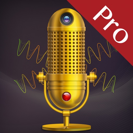 SceneRecord + Download