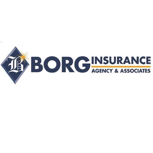 Borg Insurance Agency Online