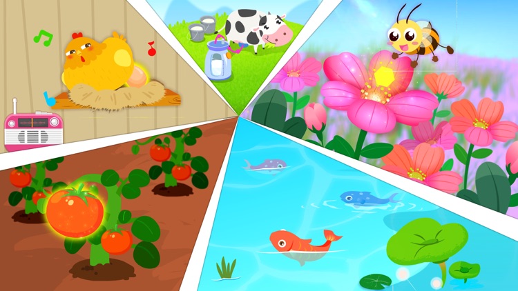Dream Farm-real farm life