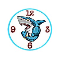 ALQARSH-Watches Store