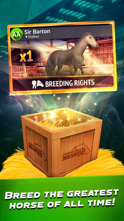 Horse Racing Manager 2018