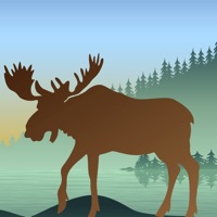 Moose Calls for Bull Hunter