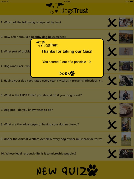 Dogs Trust Puppy Quiz