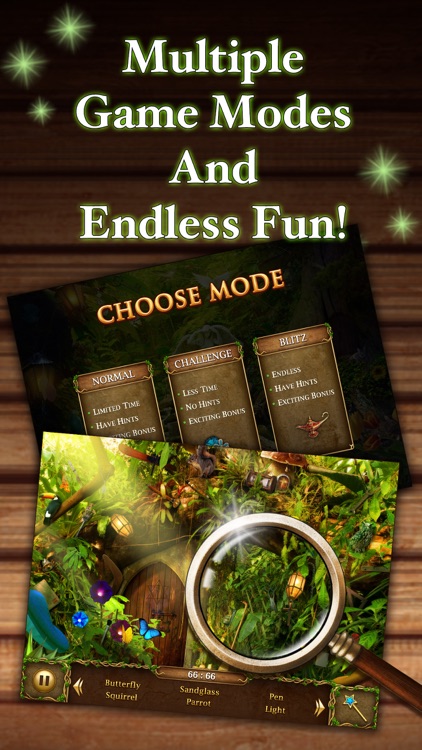 Hidden Object Games: Enchanted
