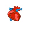 Healthy Heart 2021
