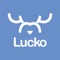 Lucko 团长端