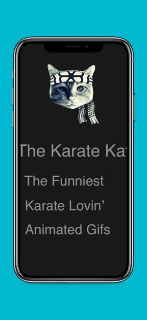 Karate Cats Gifs