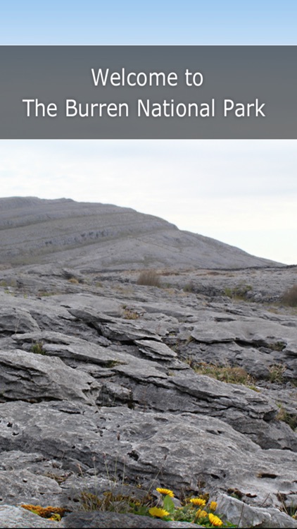 Burren