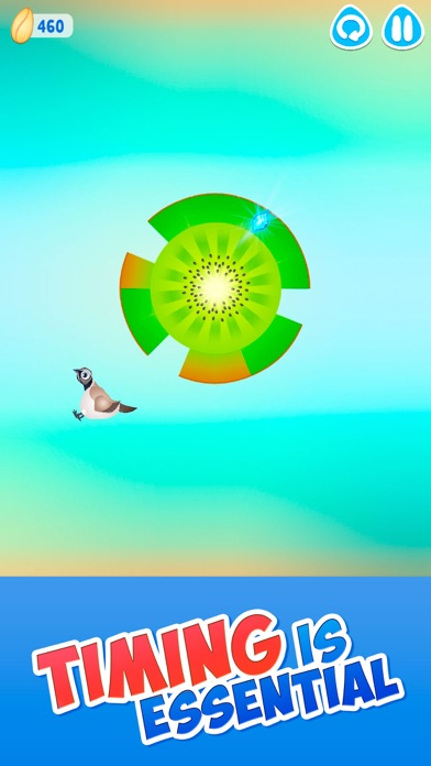 Pigeon Bird - Eating Game screenshot 2