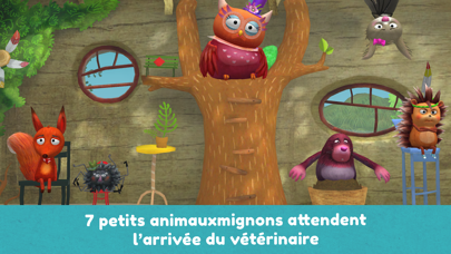 Petit renard vétérinaire 3D Petit renard vétérinaire 3D