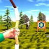 Archer Skill: Shooter Challeng