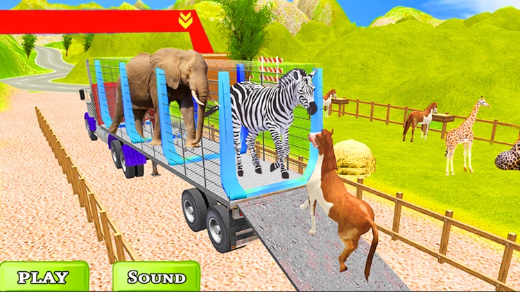 Zoo Animal Transport Truck