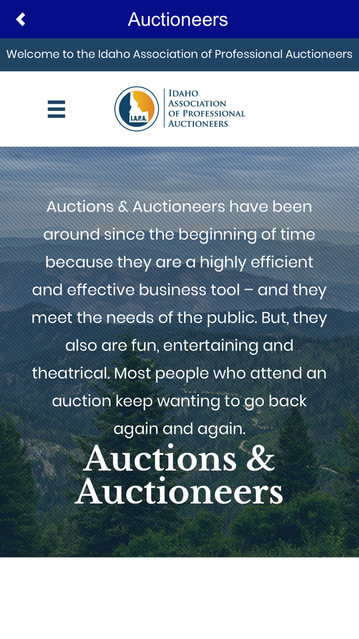ID Auctions