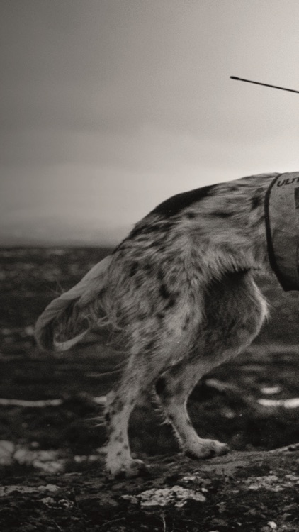 Ultracom NEXT screenshot-5